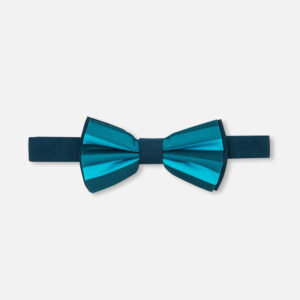 Boy striped bow tie