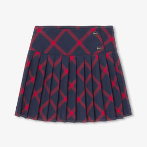 Girl plaid skirt