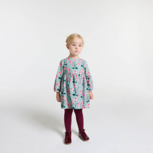 Baby girl velvet dress