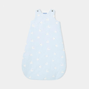 Sleeping bag 0-6 months