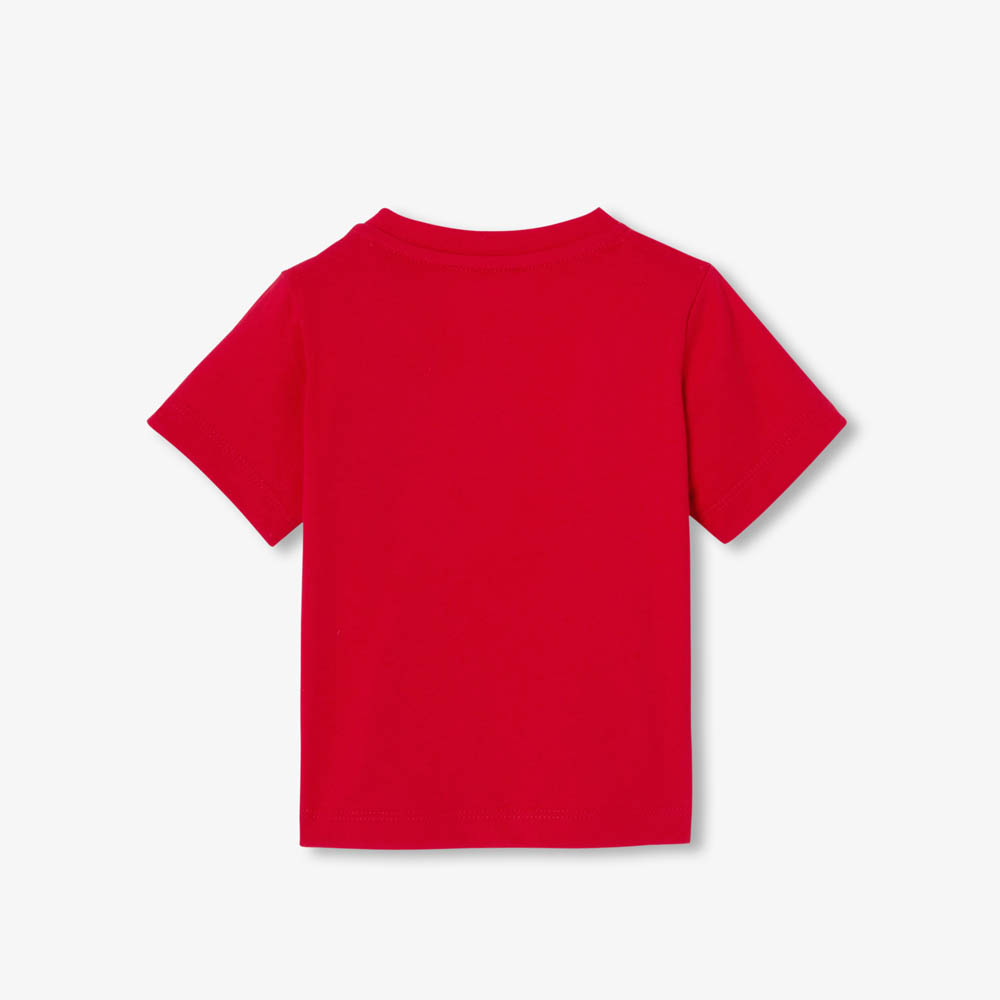 2044679_537_JSV_01 2044679_537_JSV_01