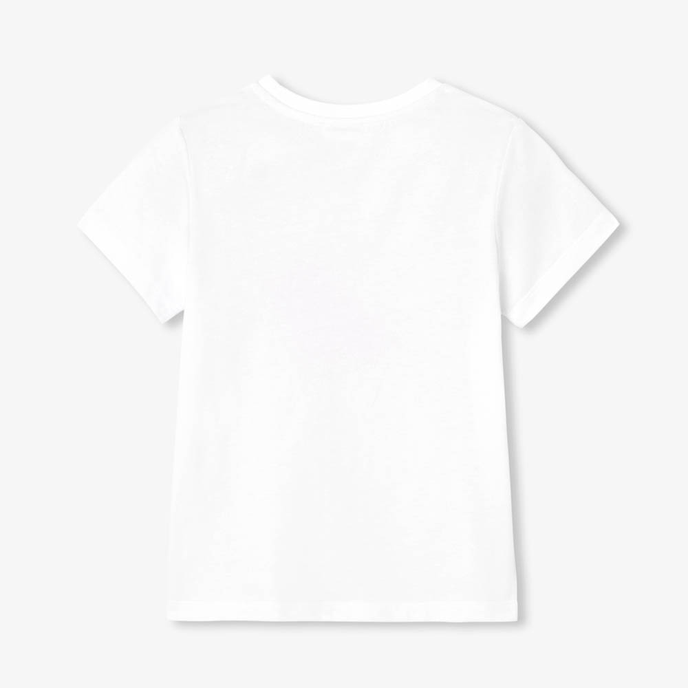 2044800_701_JSV_01 2044800_701_JSV_01