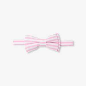 Striped oxford bow tie