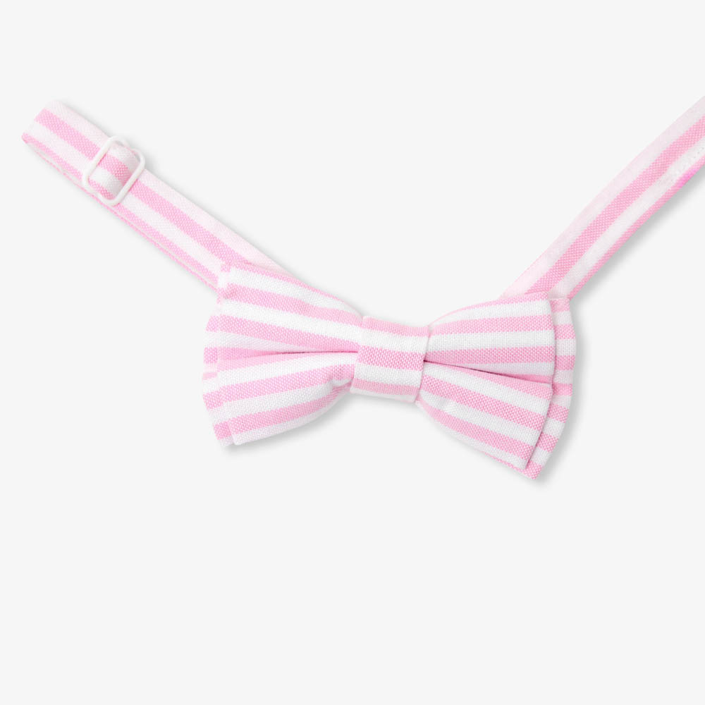 2046006_892_JSV_01 2046006_892_JSV_01